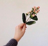晟宇热逛科技