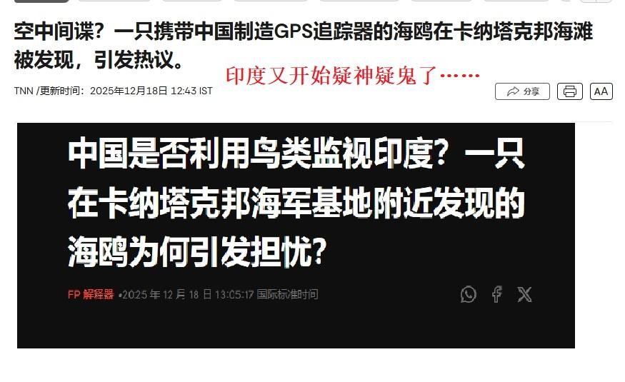 印度又抓“中国间谍”：这次是海鸥  
 
最近印度军方被一只海鸥折腾得够呛。
 