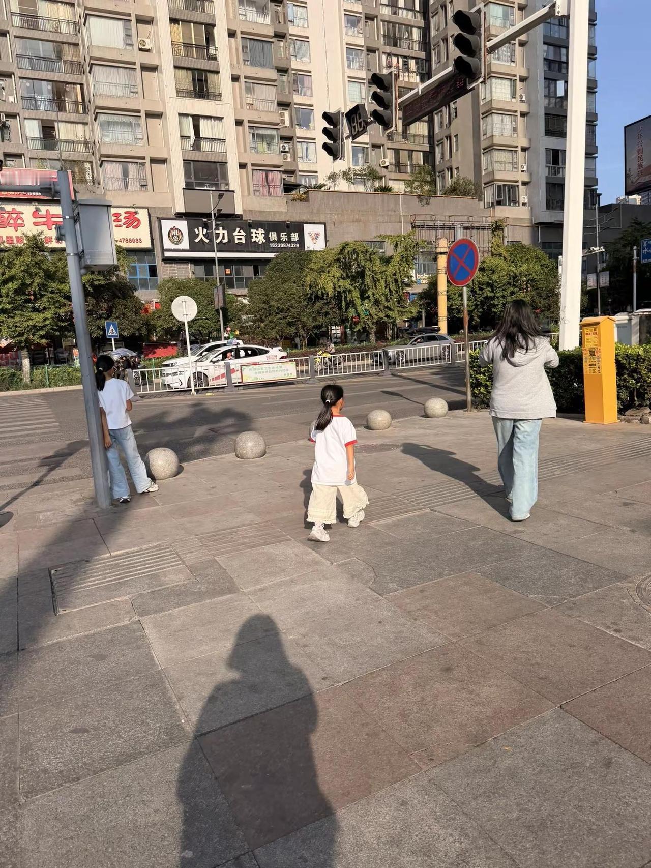 独在异乡为异客，每逢佳节倍思亲。