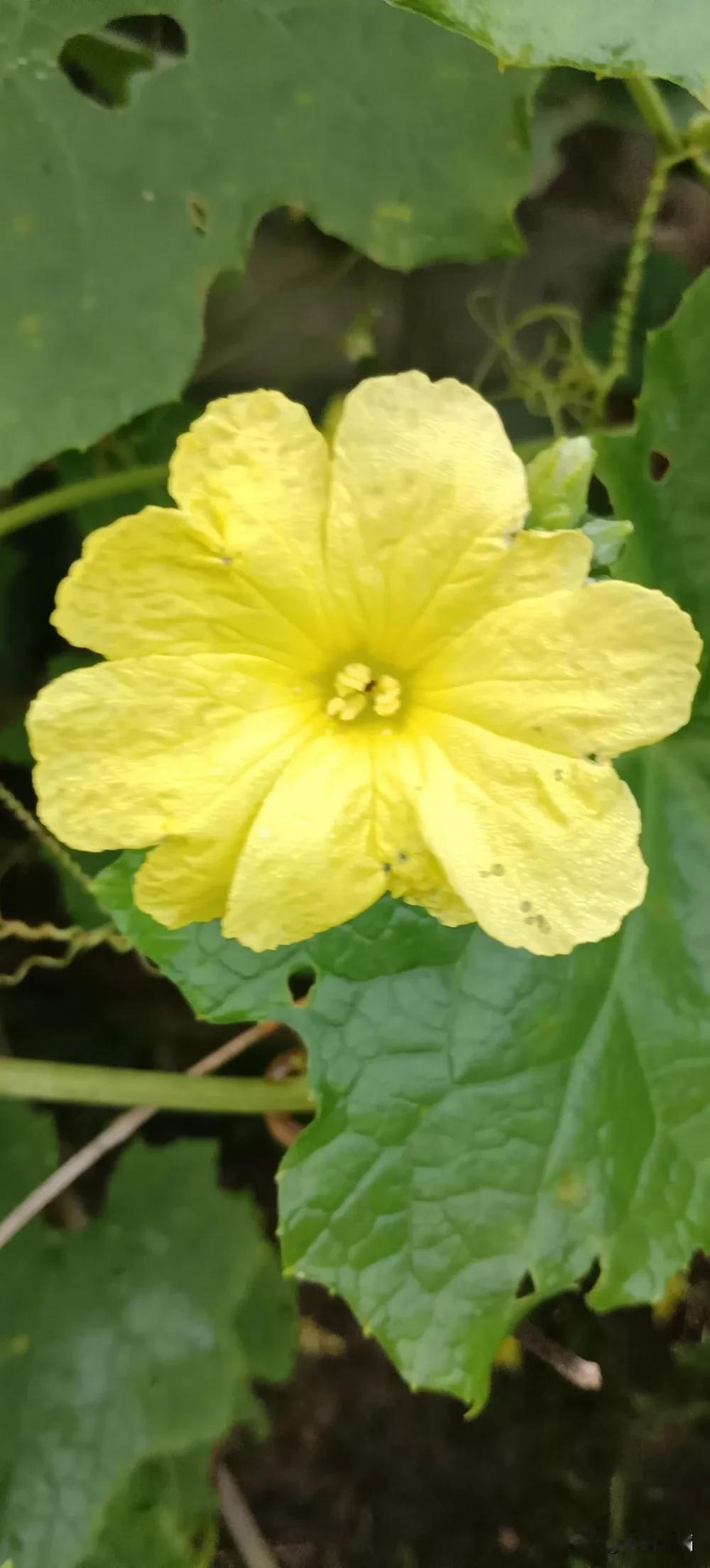 上联：细雨滋芳草
下联：微风抚艳花

柔意绵情
文/小李滔滔

细雨如雾，缥缈着