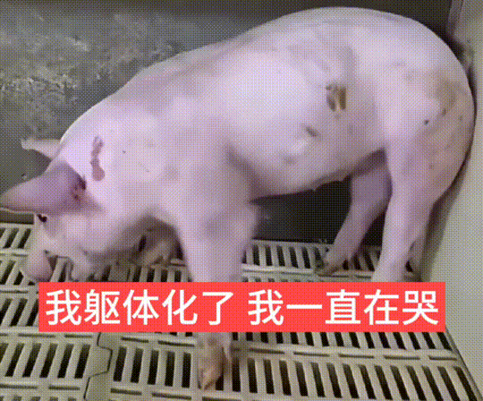 刘亦菲 迪丽热巴切勿对号入座 