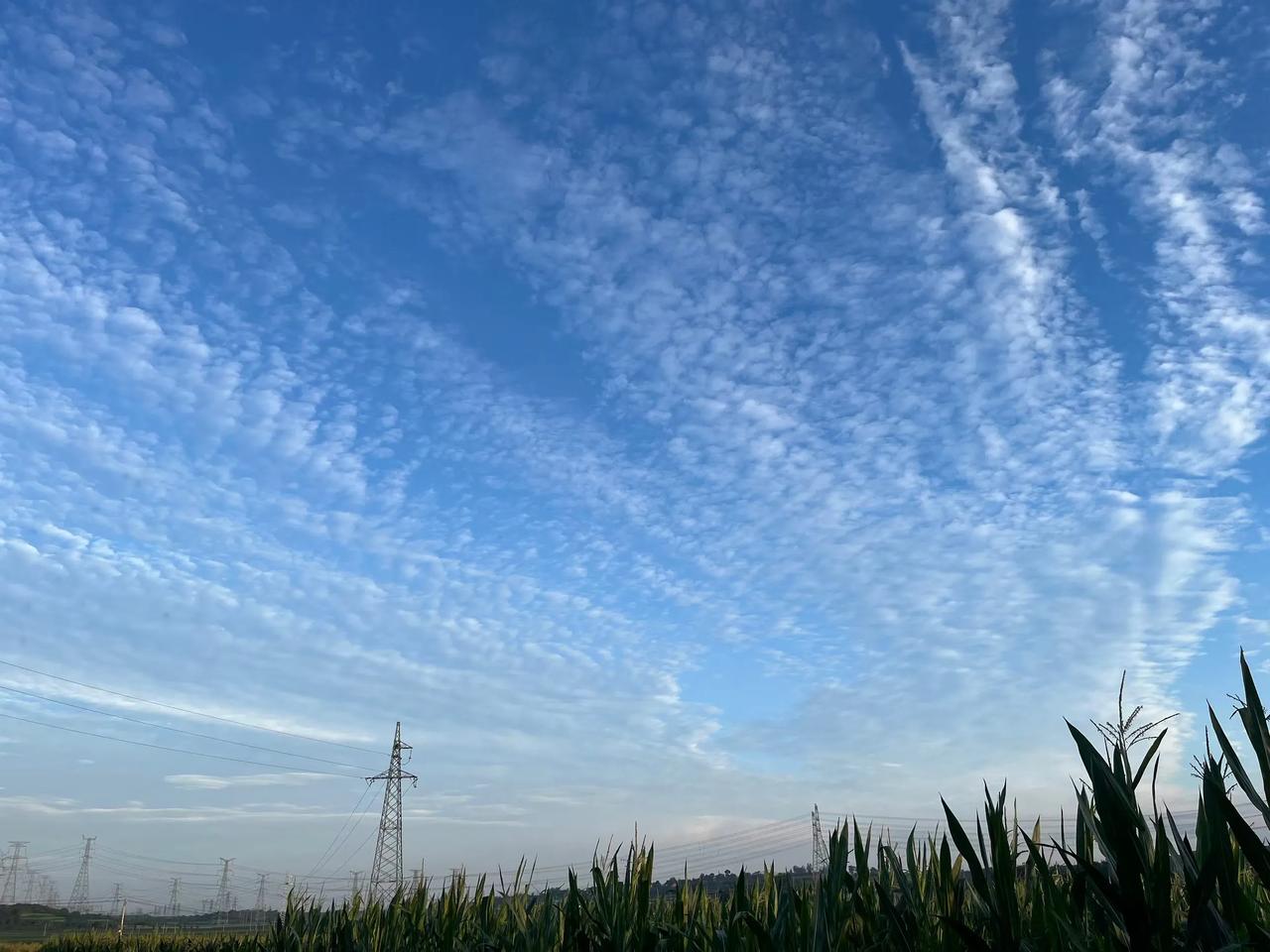 为什么现在中医被打压的这么厉害部分偏见源于认知差异与行业乱象，叠加资本舆论引导，