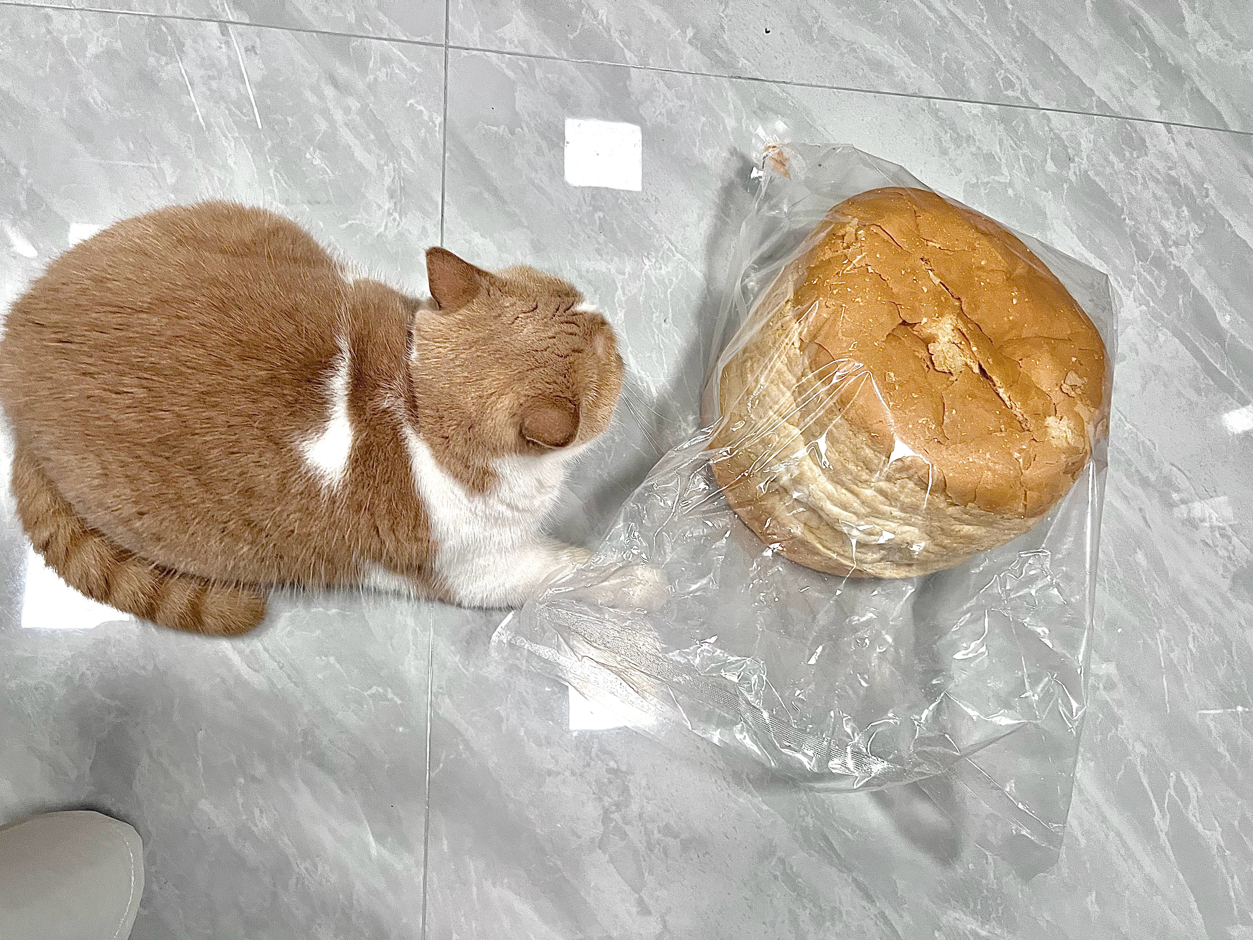 抖音这个原味大列巴谁爱吃谁吃吧 ​​​