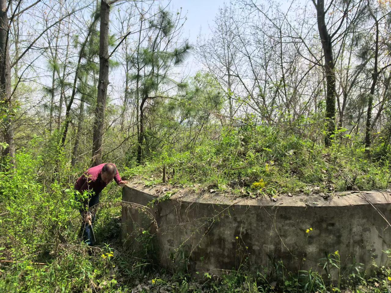 《清明日对酒》
宋・高翥
南北山头多墓田，清明祭扫各纷然。纸灰飞作白蝴蝶，泪血染