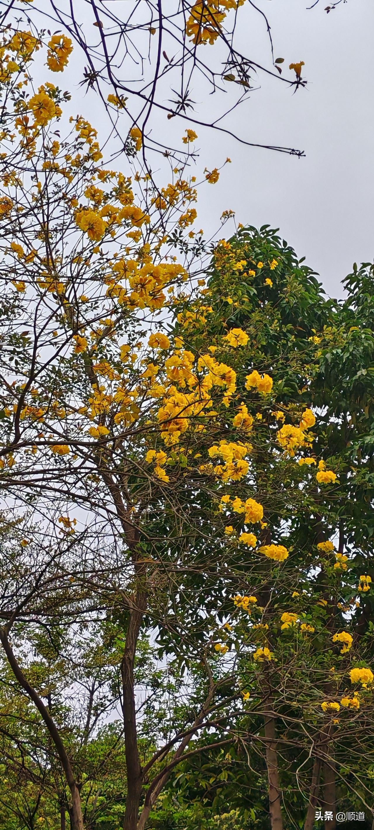 有的人是真有劲真能搬运啊。
昨天刷到一篇，大意是回到武汉出租屋两天了，躺了两天，