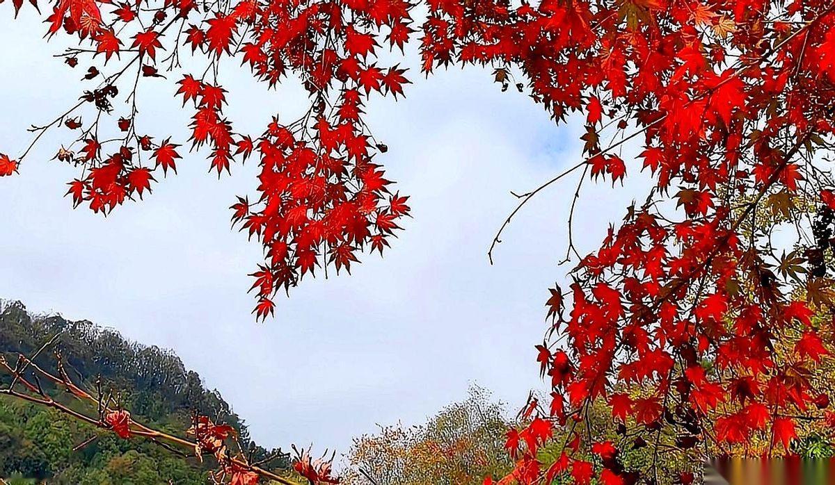 看到有人说，“一个国自然面上，等价一千万横向”。
我差点没把手机摔了。
开什么玩