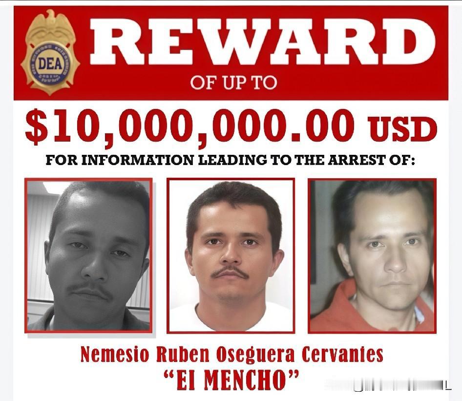 一个国家混乱到如此程度，
看看墨西哥就知道了，
真的是魔幻现实主义！

击毙了世