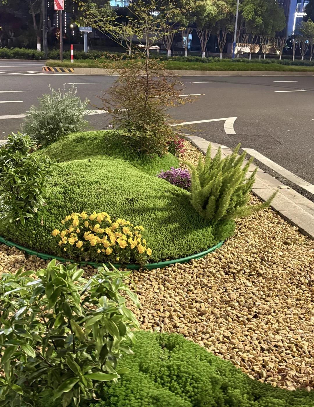 杭州绿化带的精致感
不得不感叹杭州城市建设中一个又一个的精致细节
好像一个微缩的