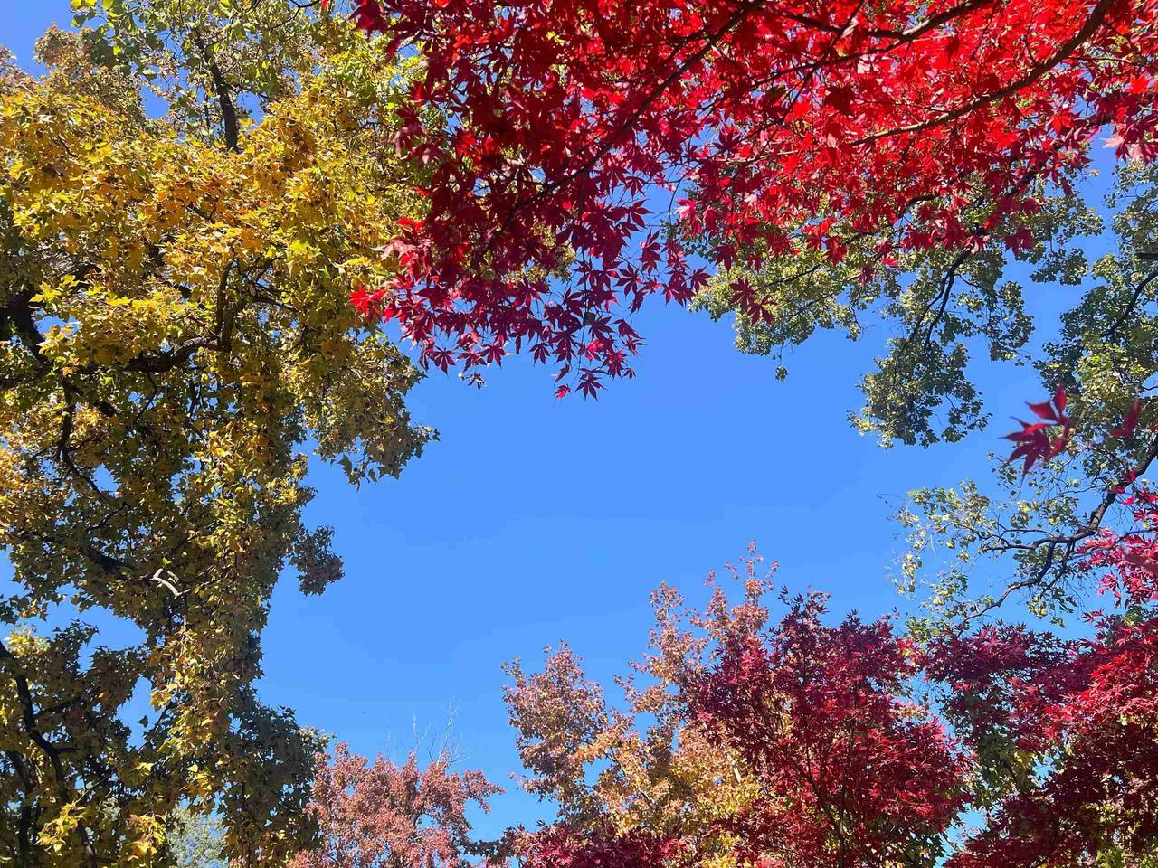 我的今日状态：💰期待暴富
我这里的天气：☀️晴天
新的周日，新的欢喜！删除疲惫