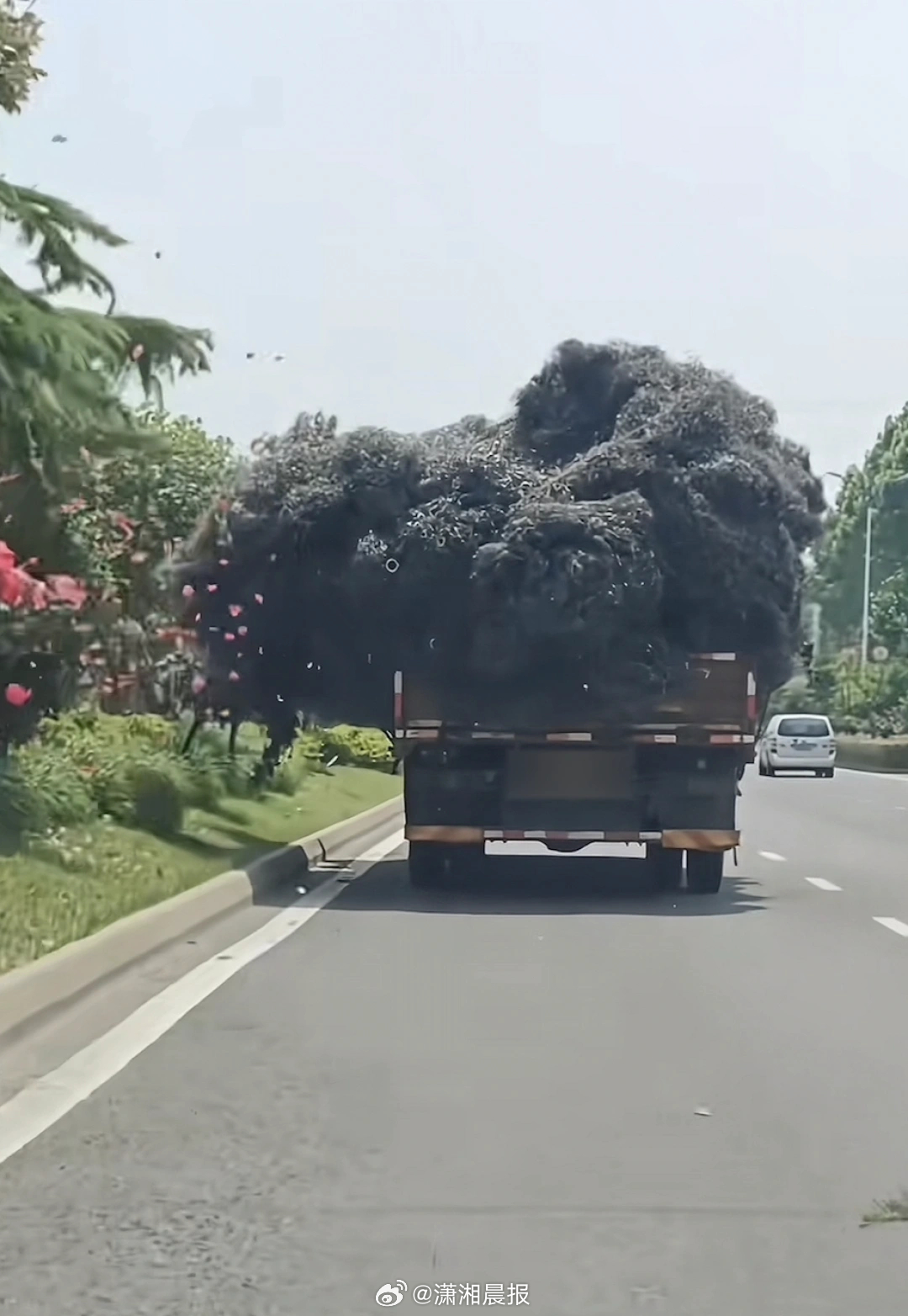 【#货车装满铁屑刮坏马路绿化带#，花和叶落一地，芜湖#交警回应货车装满铁屑刮坏绿
