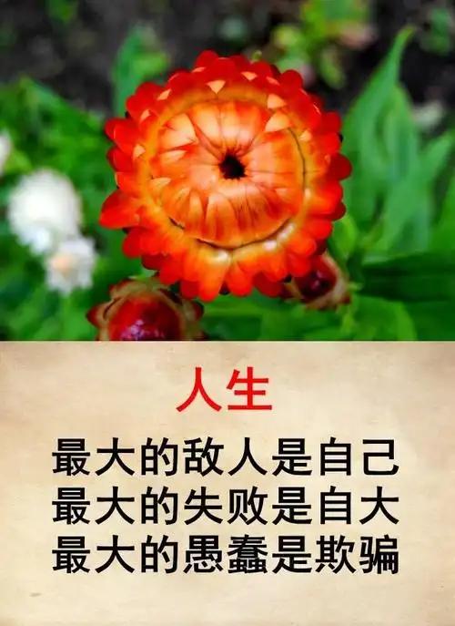 人这辈子，最危险的敌人是自己的嘴和身边的熟人。
       不少人因嘴吃亏，心