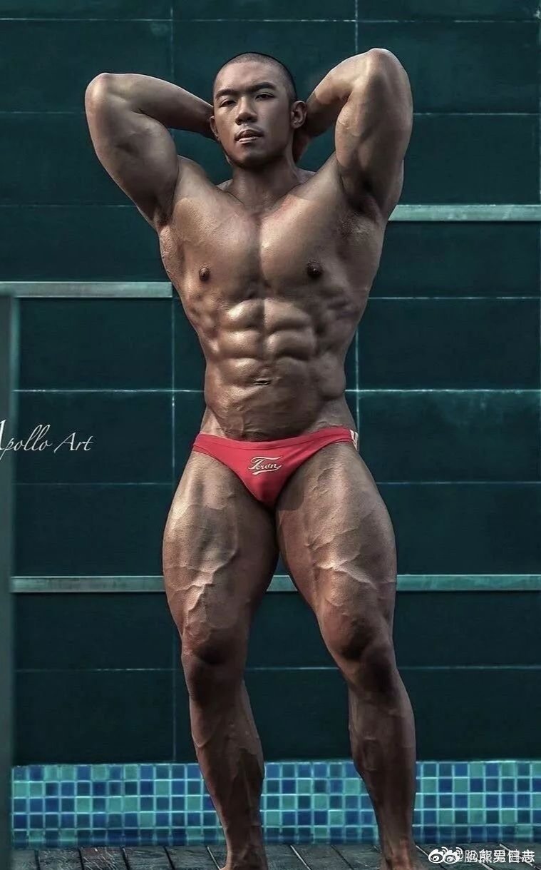 【MUSCLE】() 