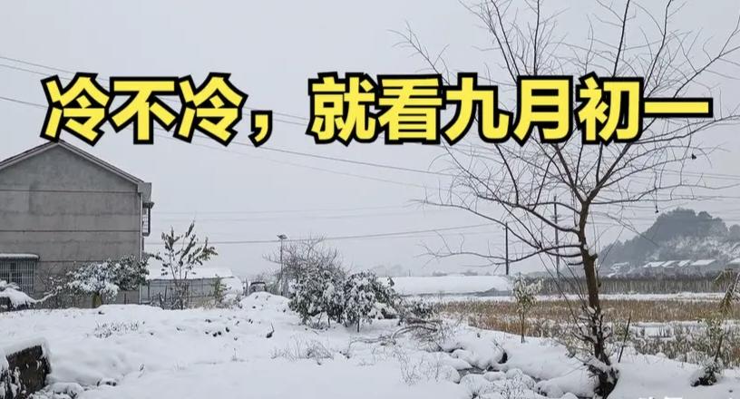 “冷不冷，就看九月初一”，今日九月初一，今年冬天雨雪多吗？

民间有“九月初一雨