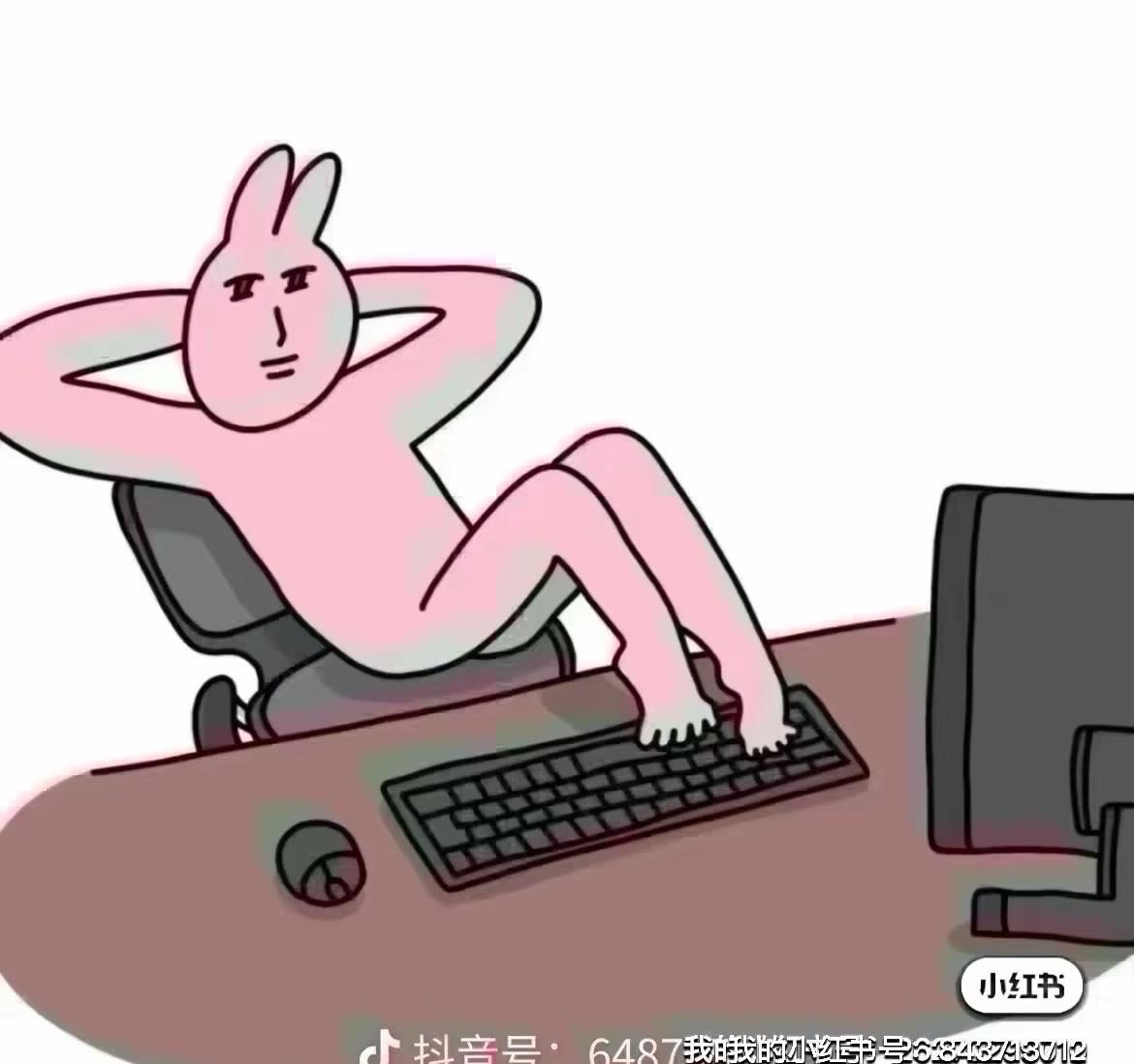 去有山有雪的地方