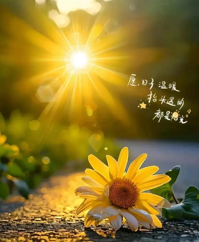 生活，就向做单，哪有一帆风顺的人生，都是在一个又一个波折中爬行！微笑，原谅，遗忘