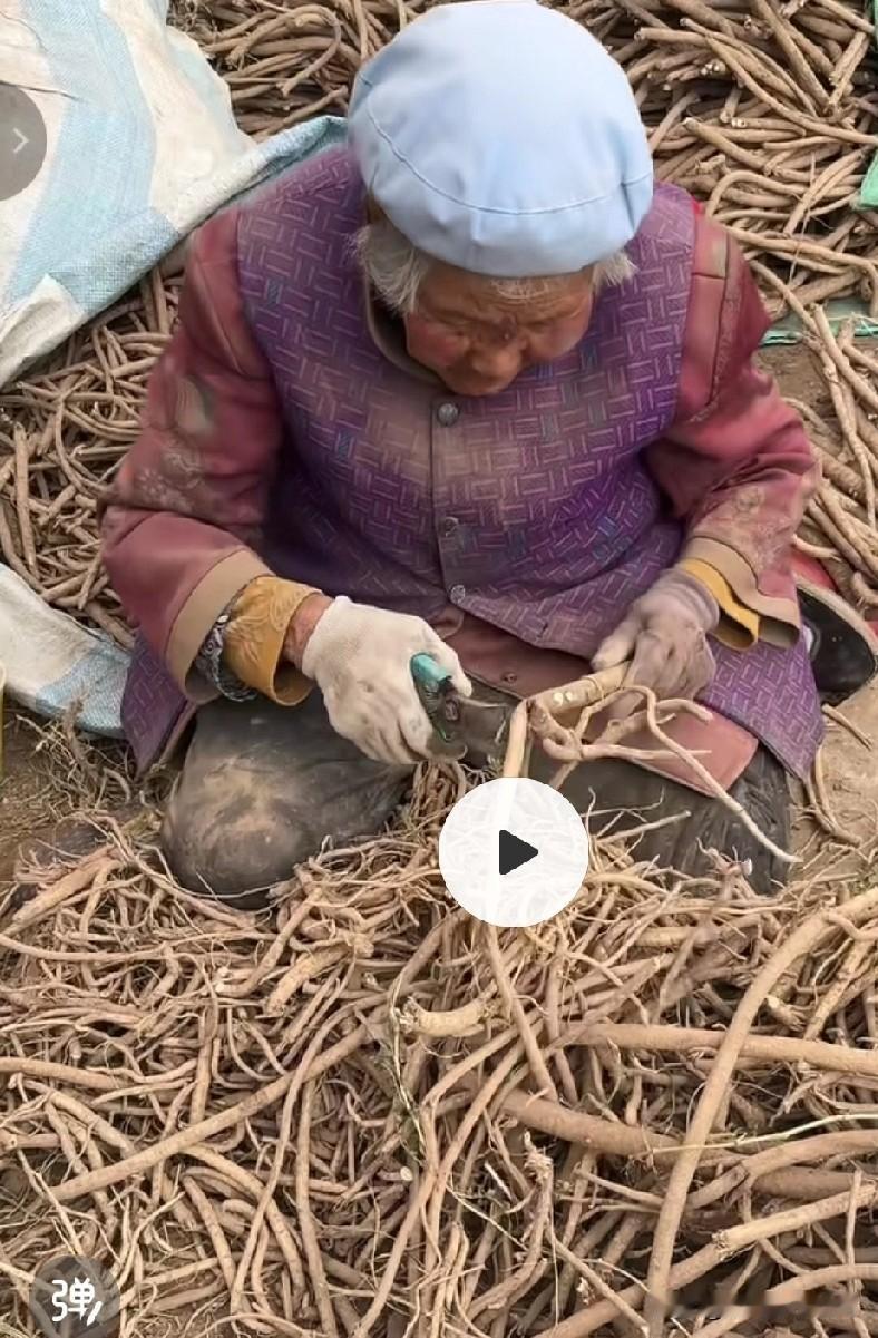 我们农村的老人，辛苦一辈子啊，年龄这么大了还在地里干活挣钱！就说人活着到底为什么