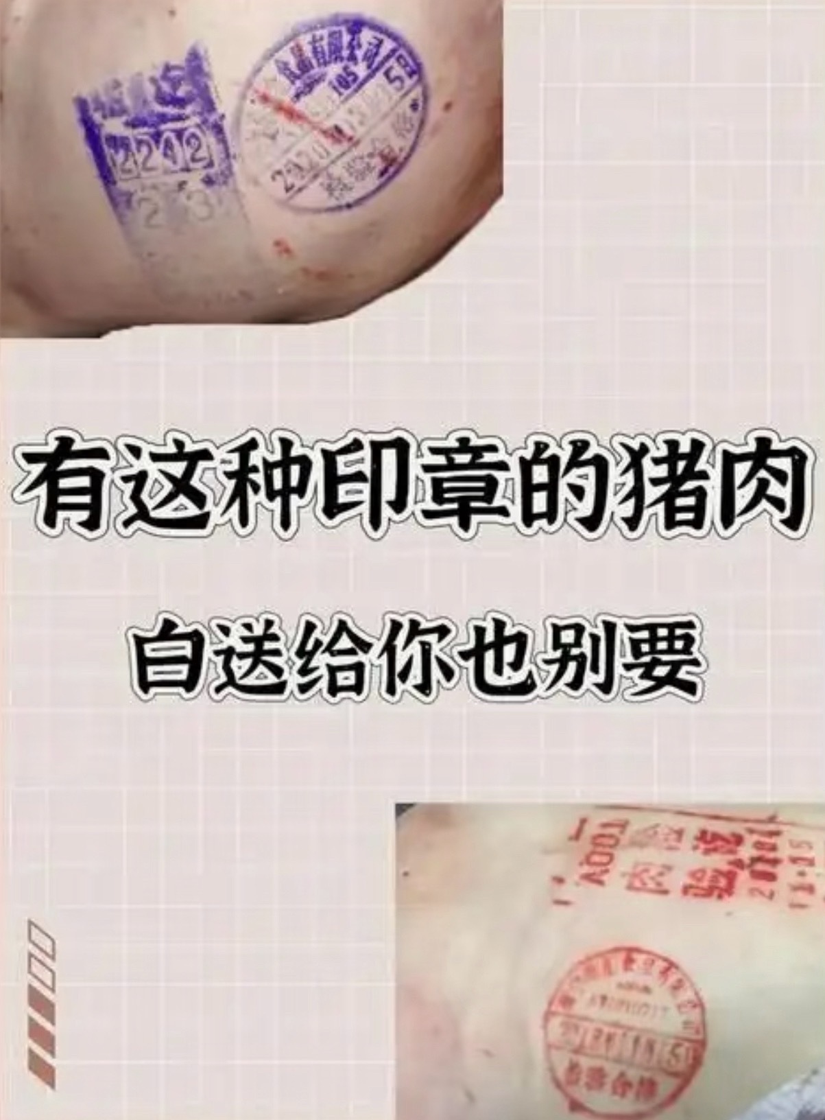 抖音 男明星质检发猪瘟了 ​​​