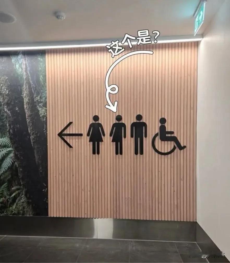 其它三个我都认识，但这个有谁知道这个是指什么厕所吗？