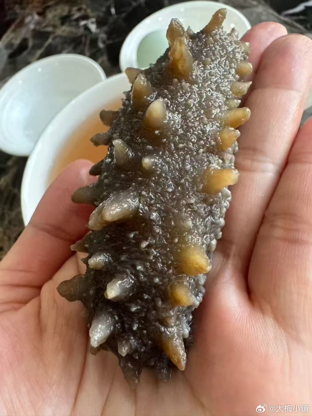 品质在线的鲜食海参，一根只要十元左右产地直供，省去繁杂泡发步骤，开袋解冻就能食用
