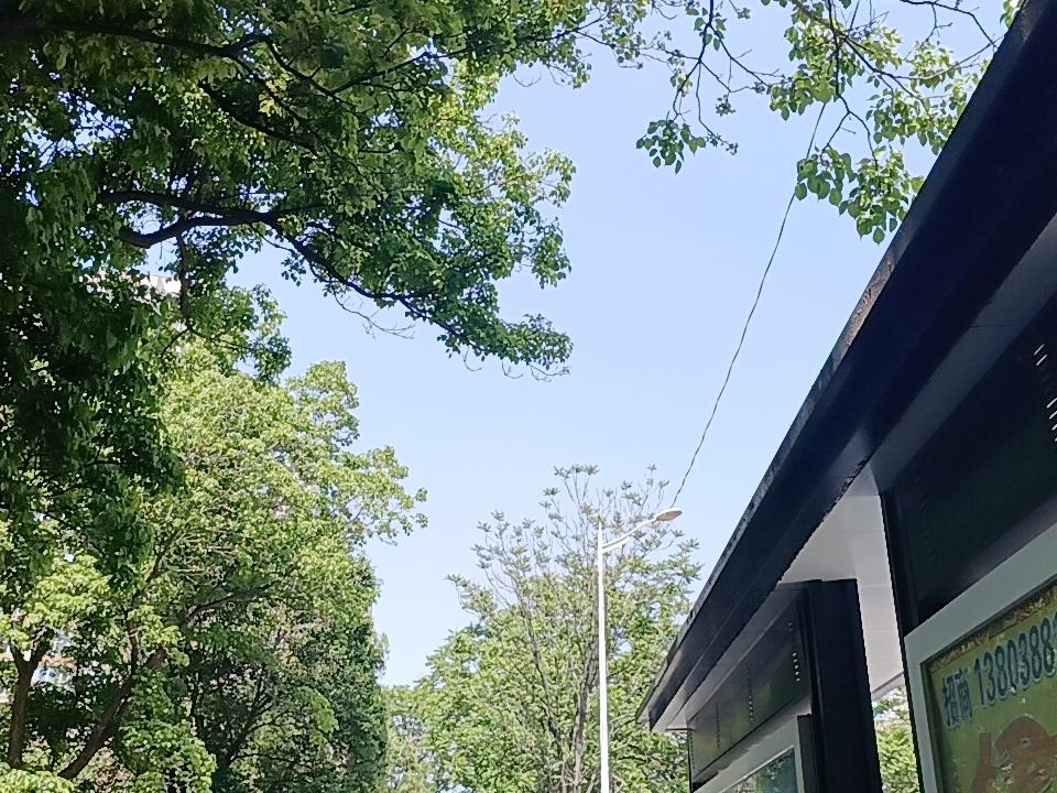 岛国爆发高致病性疫情。
这是朋友刚说的，附了张截图，看名字很正式。
朋友说，过瘾