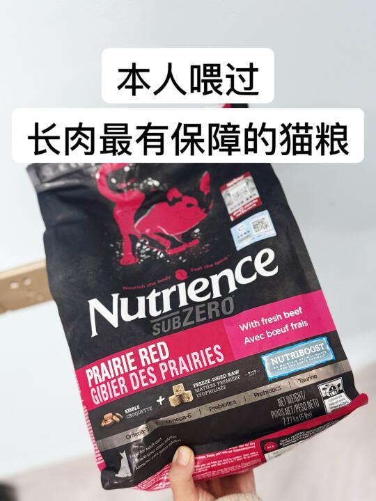 性价比之王！纽翠斯可远比你想的强！