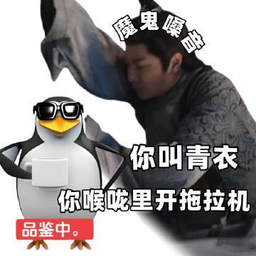 你叫青衣你在喉咙里开拖拉机 青衣这名字一听就感觉该是温温柔柔唱着戏的，结果一开口