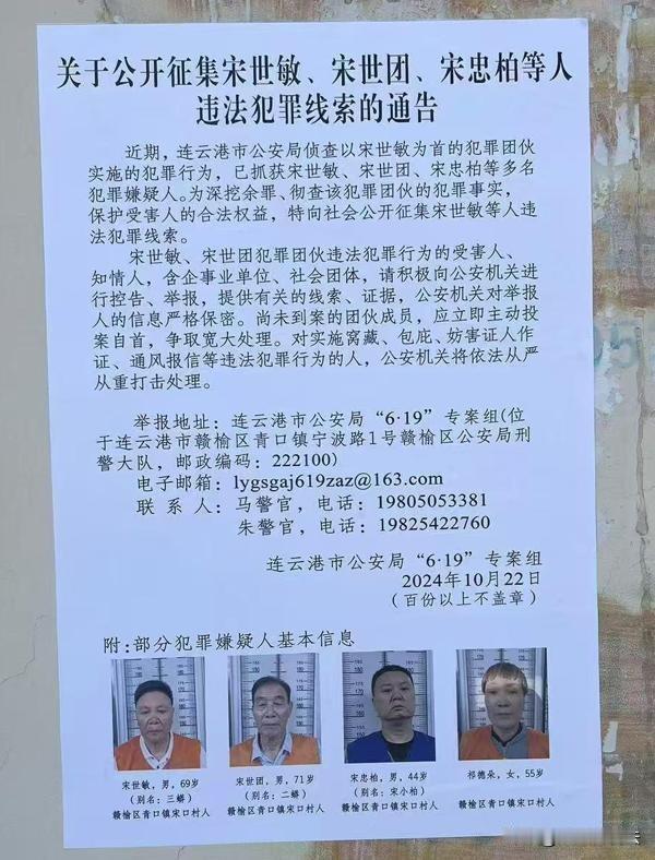 江苏第一位农民县长“三蟒”被查2003年无疑是宋世敏人生的巅峰，他被选为赣榆县副