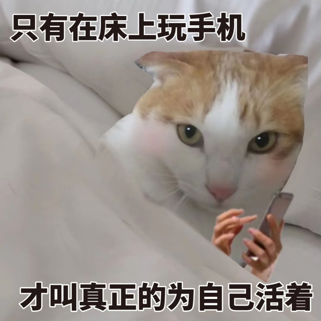 为什么晚上的手机那么好玩有没有可能是白天要工作、学习，只有晚上才能全身心的投入手
