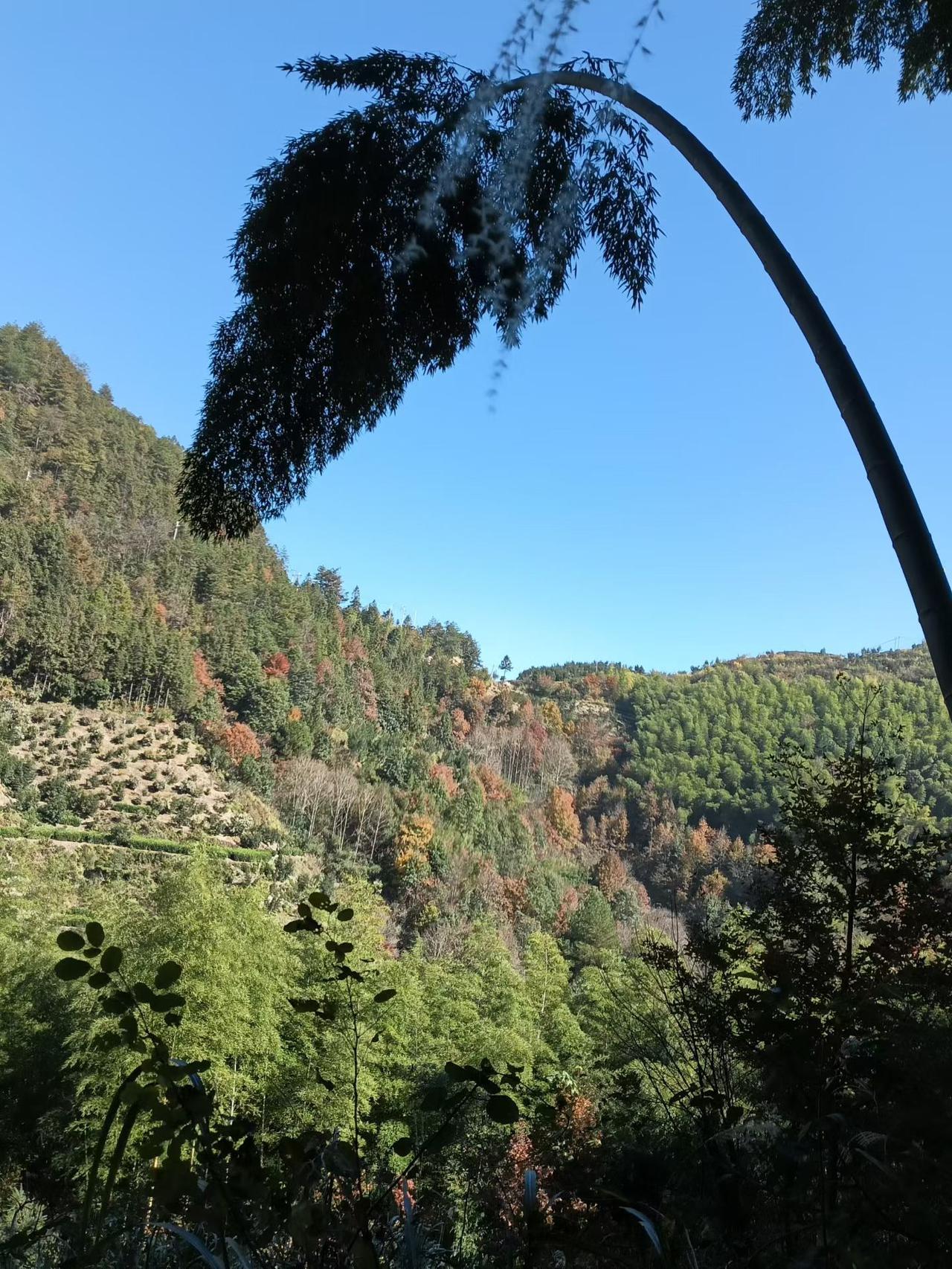 话不必接满，
人不必讨好，
守好分寸，
自有敬畏，
记住这句话[赞][赞][赞]