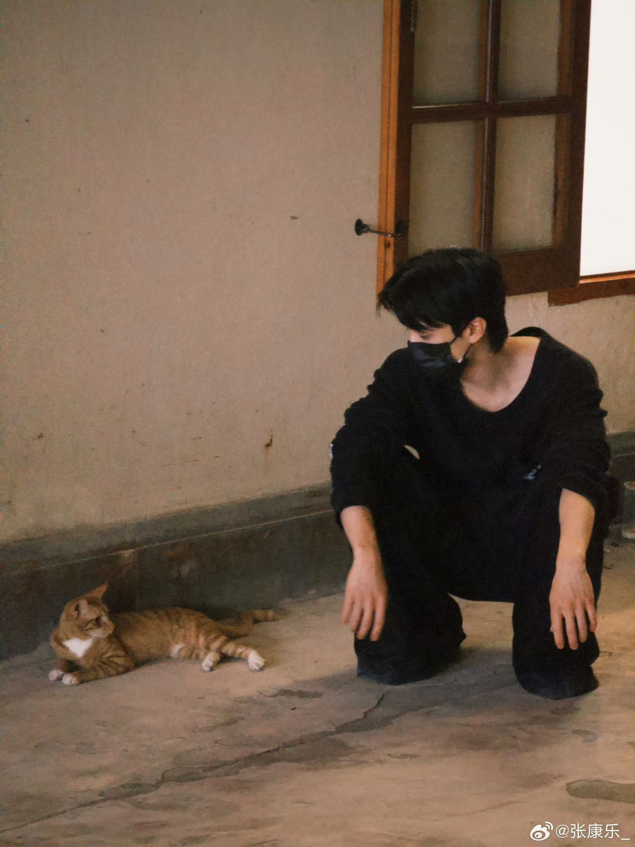 张康乐喂流浪猫 猫猫大王开大会，这个人帅心善的乐乐就是如此滴贴心让人心软软🥹家