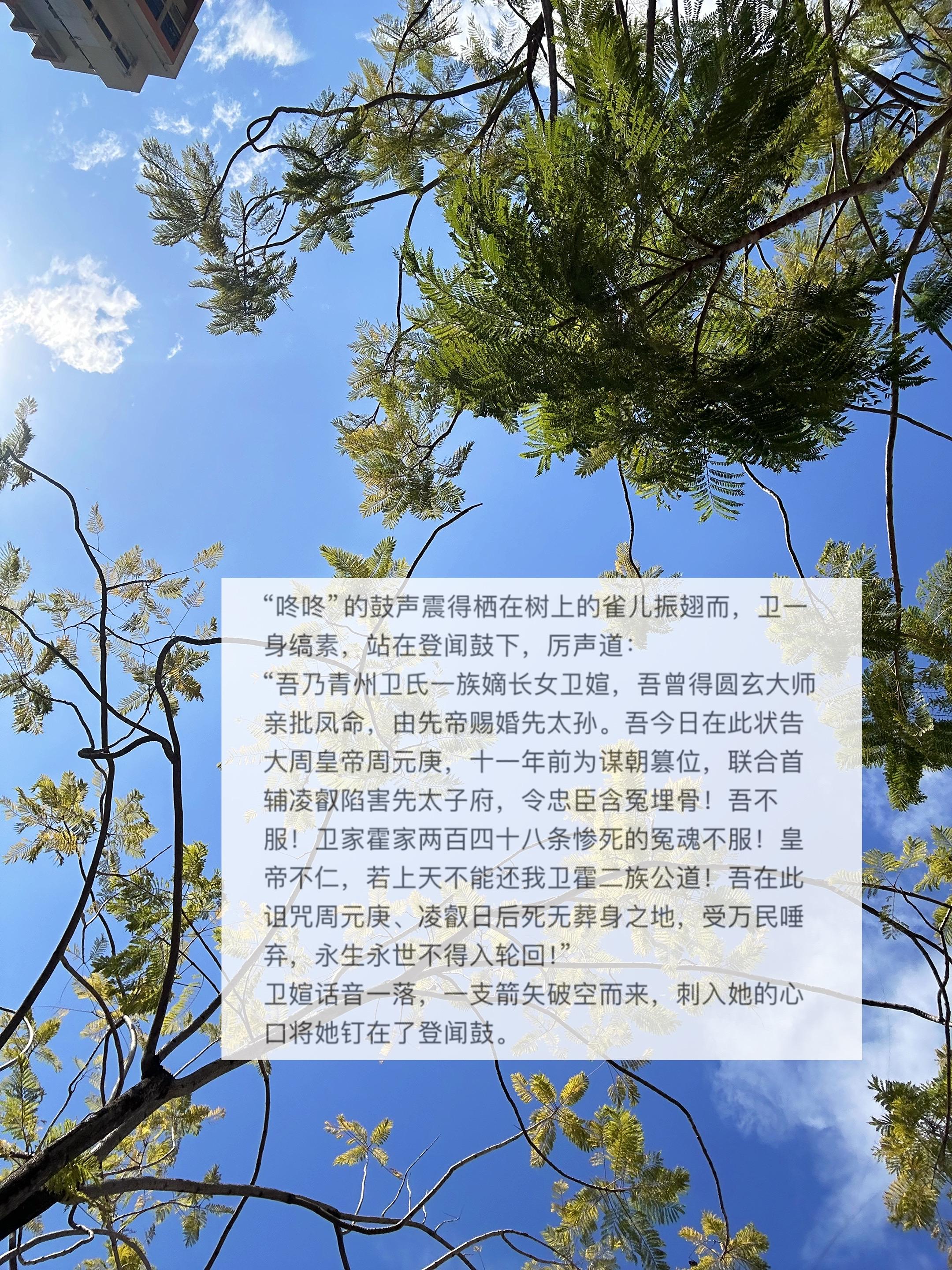 可你不许因着我生气，就不入我的梦里来，成不？