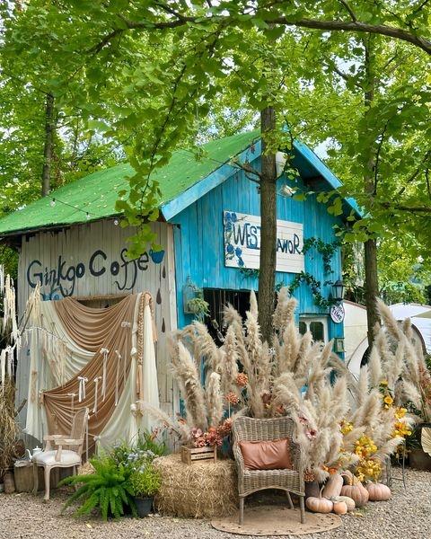 离市区只有20分钟的路程
藏在森林里的下午茶烧烤好去处！！
大片的草地和满眼的绿