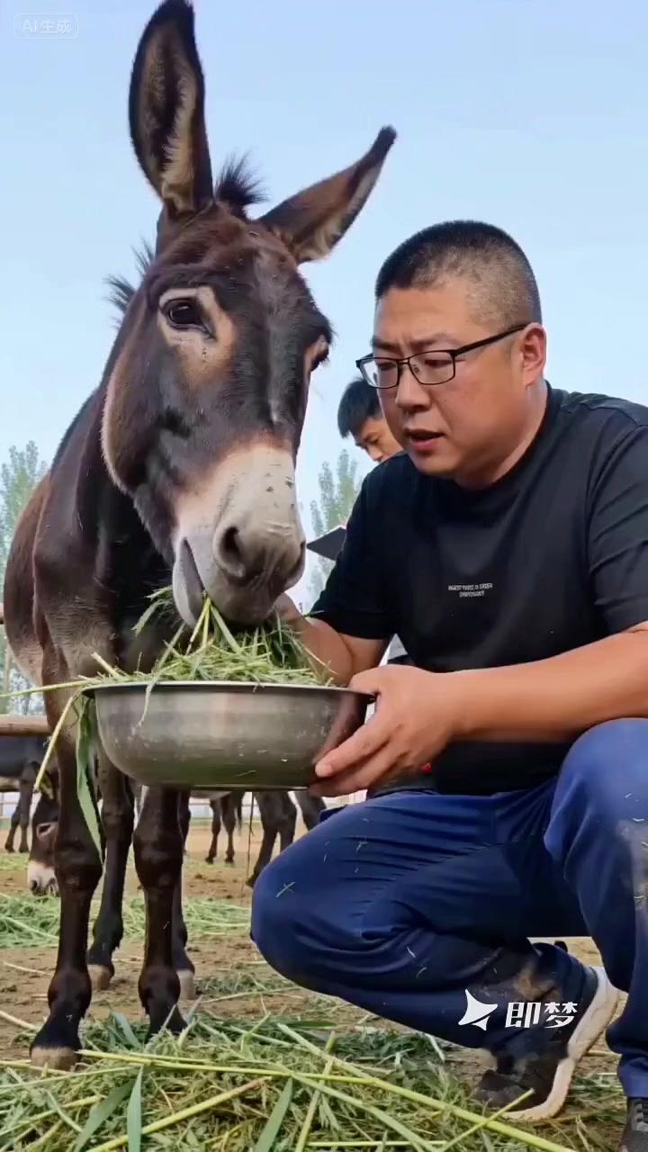 驴不吃不喝要警惕！🐴养驴多年发现，驴一旦停食，立刻排查感冒积食肠胃病。这些都是