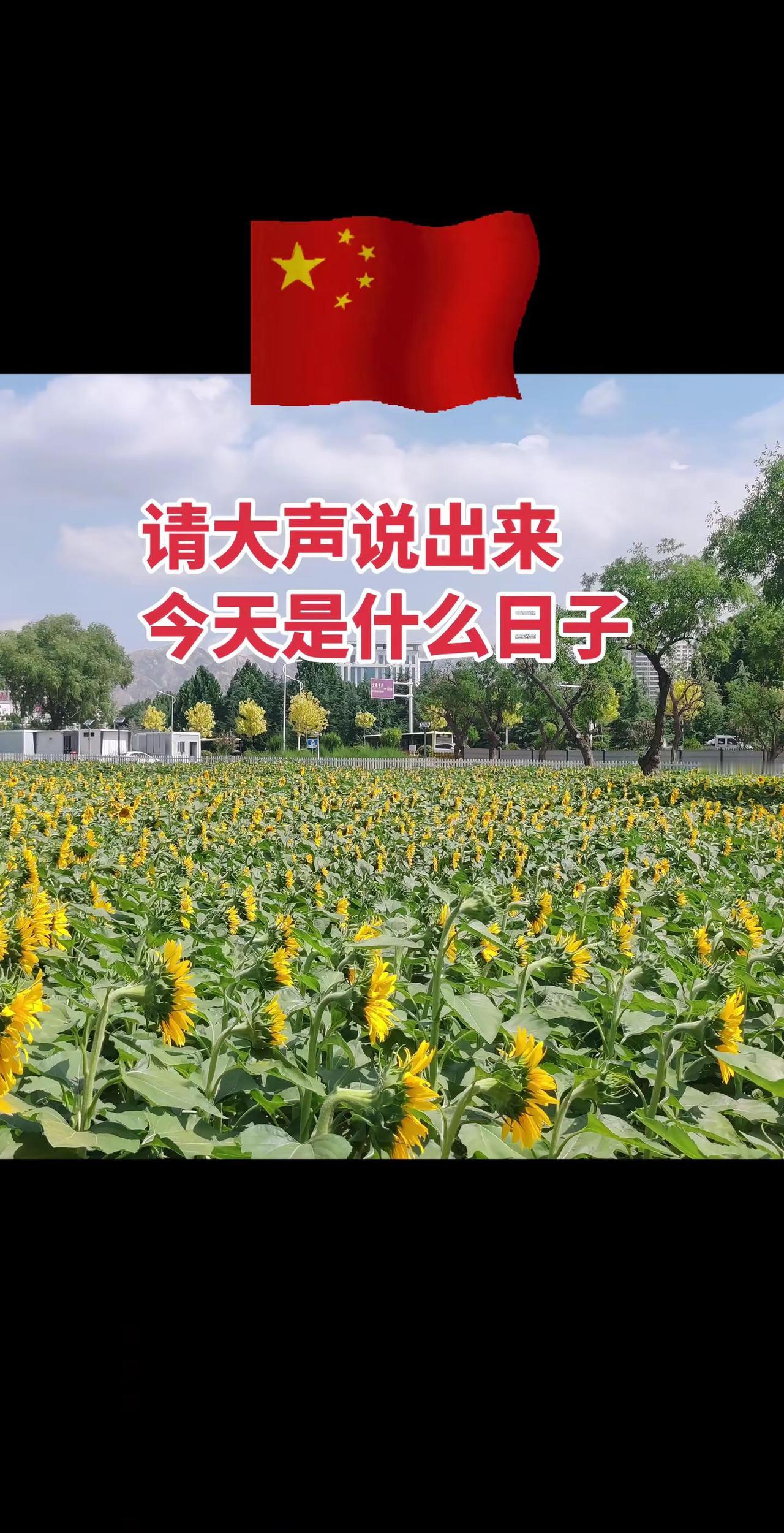 一二三一起唱，歌唱我们亲爱的祖国，祝愿祖国，繁荣昌盛，国泰民安月8月15日日本投