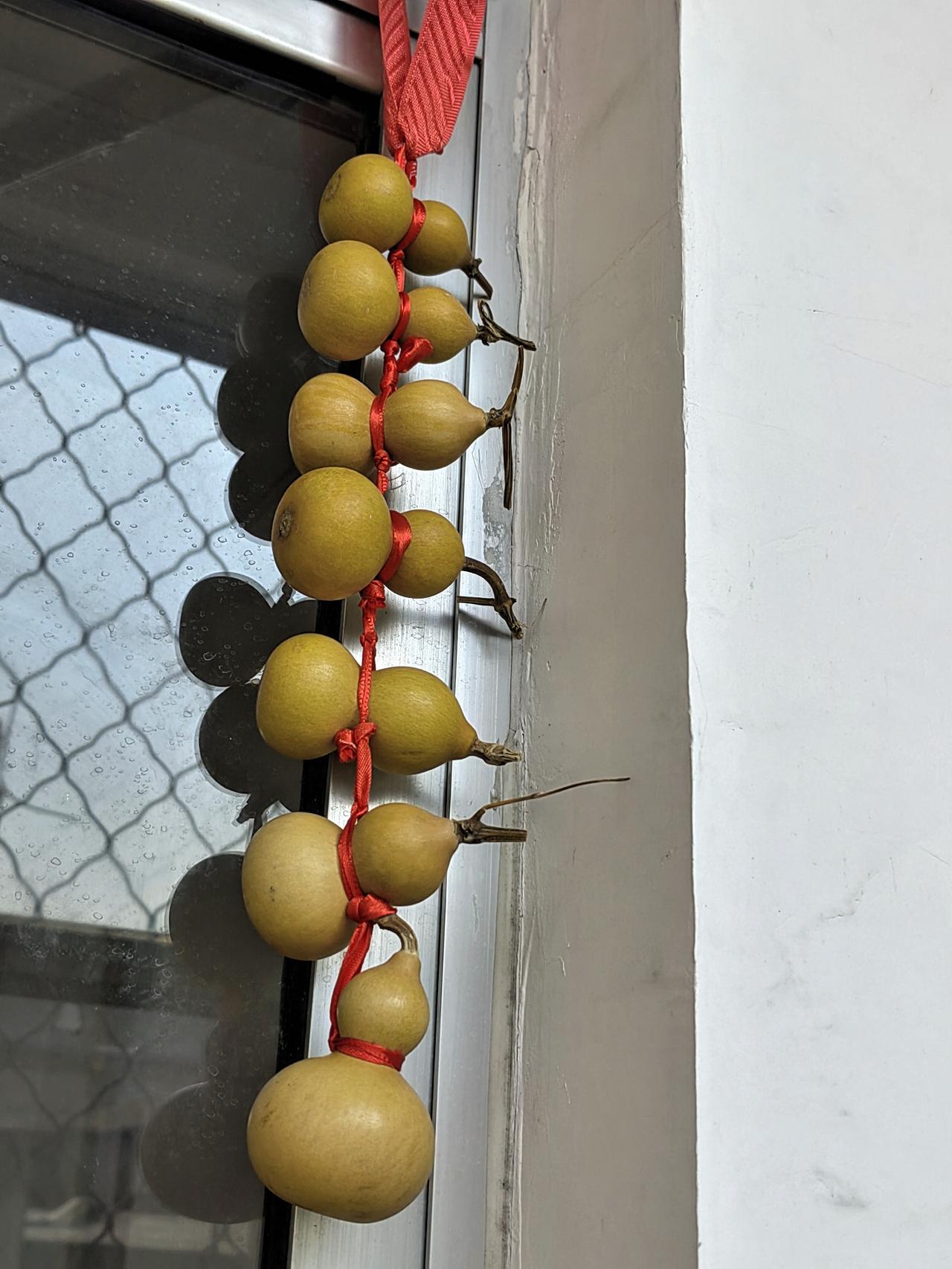 这样挂葫芦可以吗？
都说门旁挂葫芦 ，
招财又进宝。

对这些不甚懂，
且这样挂