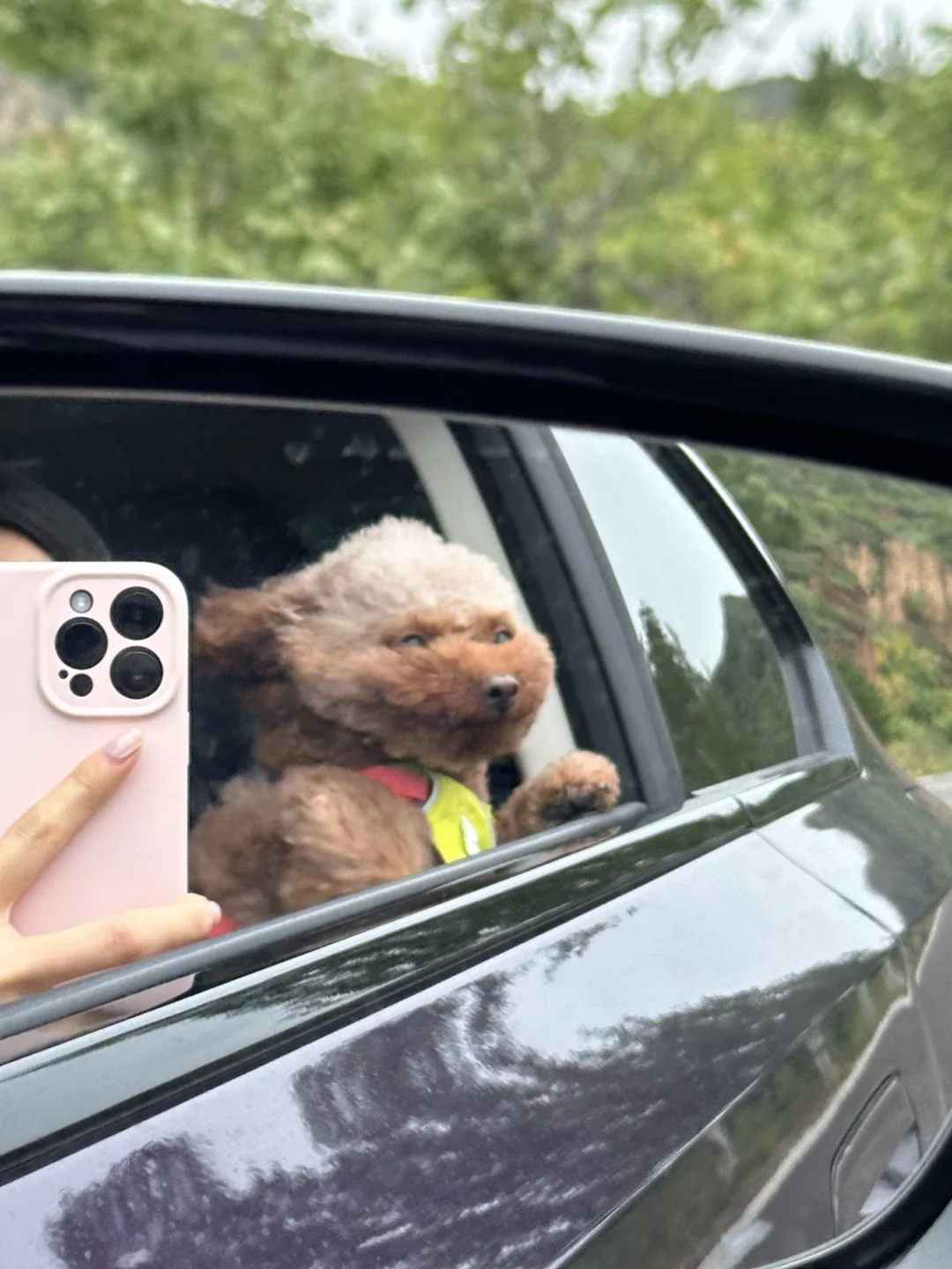 🐶：刷朋友圈咯～