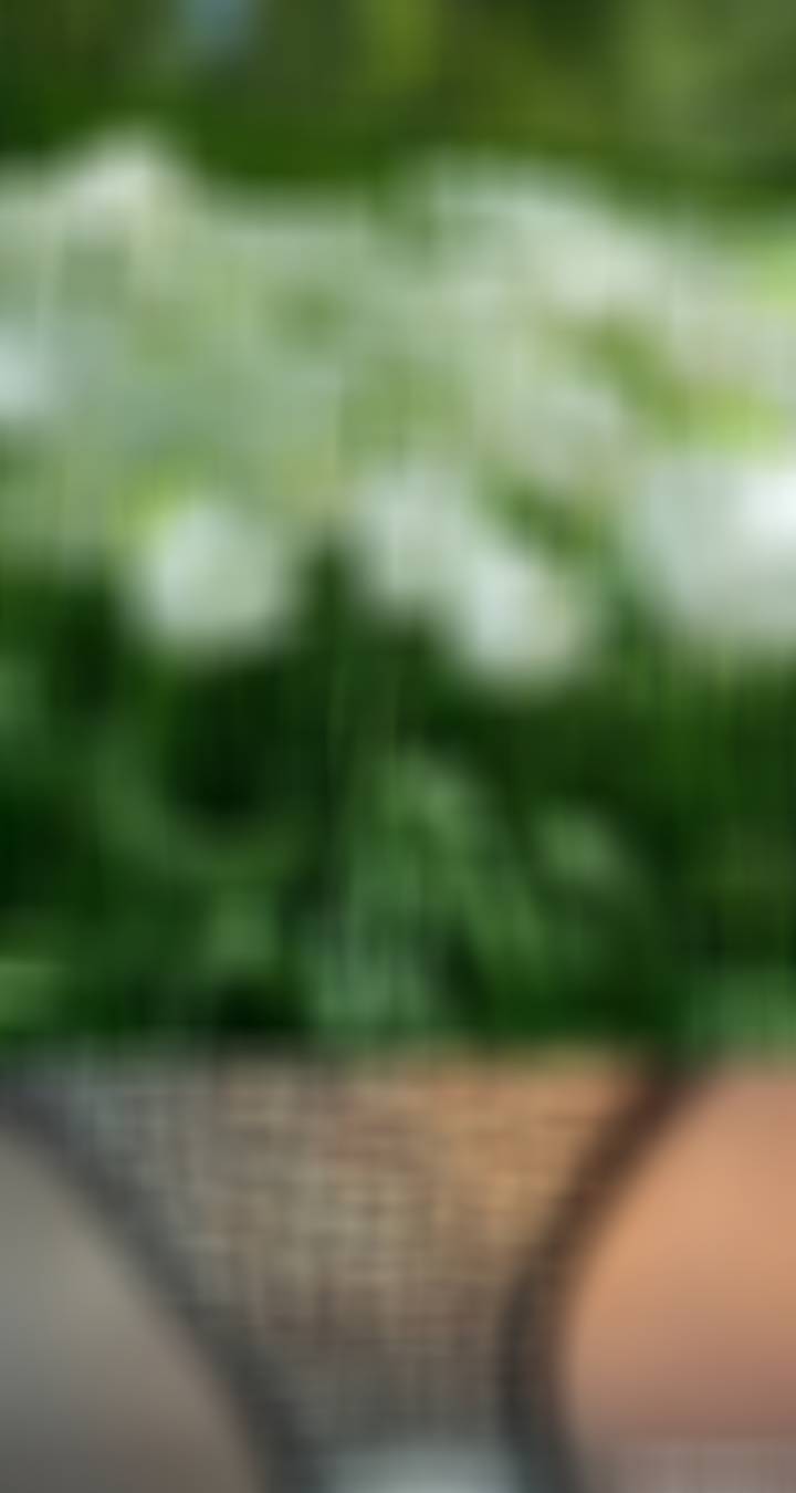 豹纹豹纹～ 