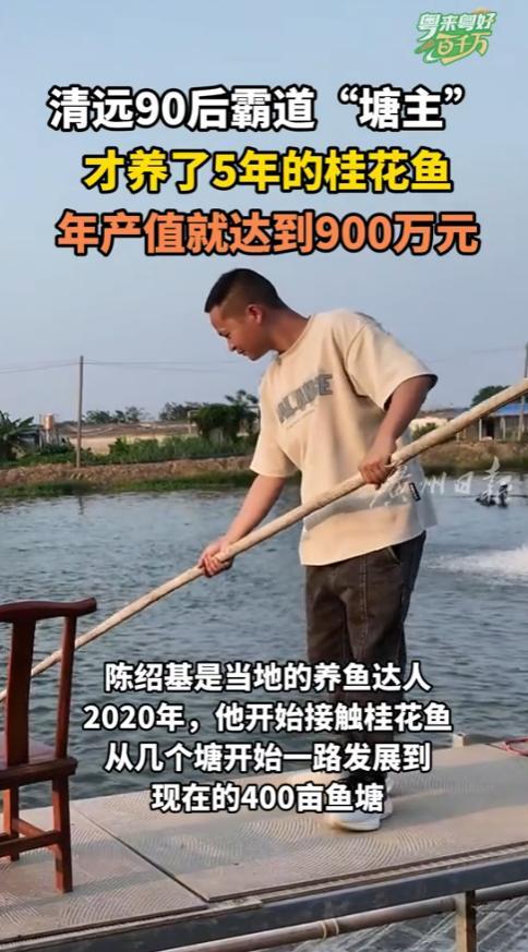 “这下赚翻了！”2025年7月，广东清远，一名90后男子养了5年的桂花鱼，年产值