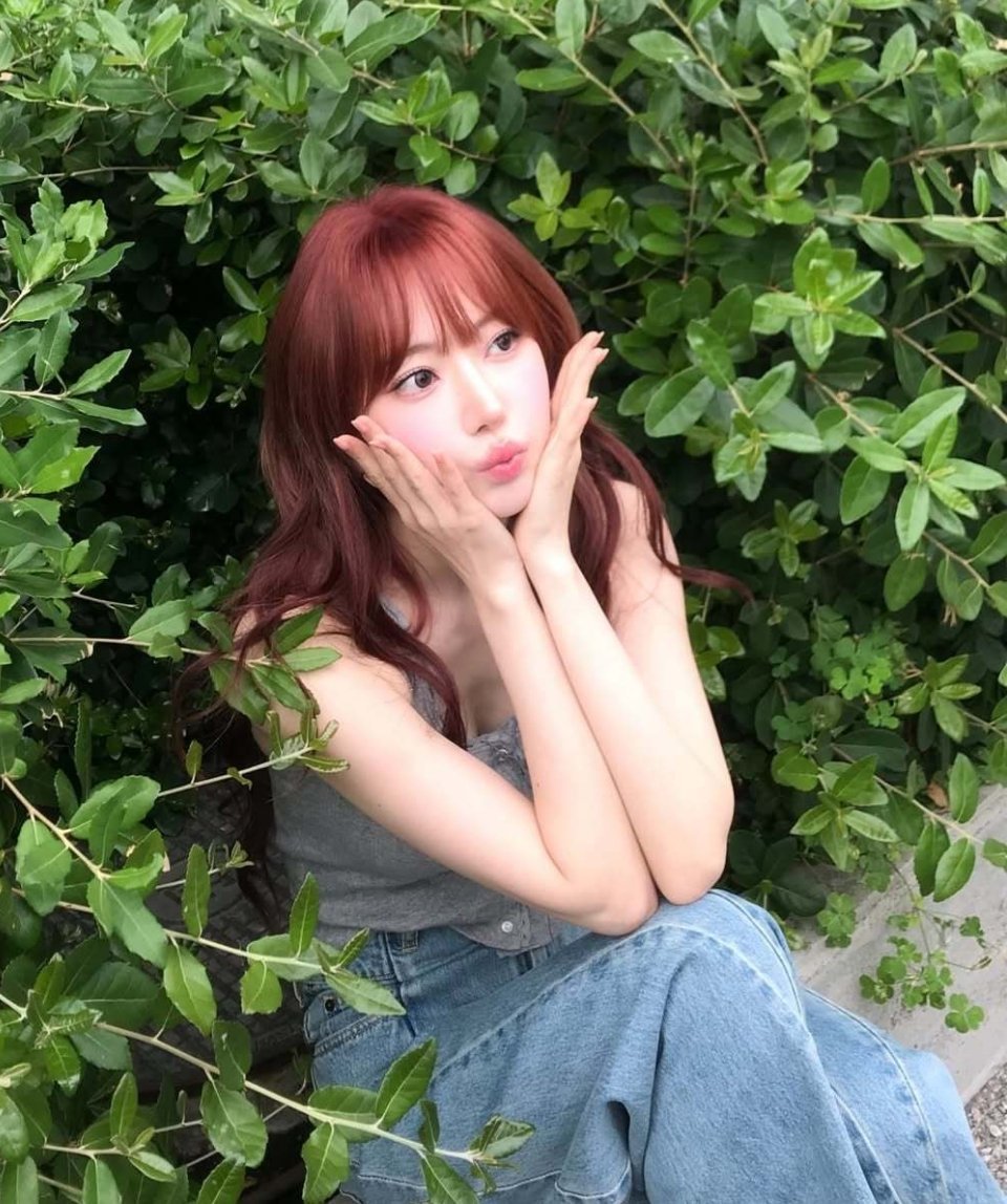 Sakura  જ⁀➴　 ​​​
