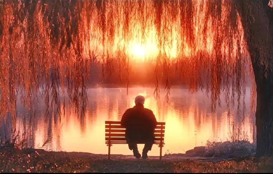 他80岁，得的是胃癌，查出来时已经是晚期。
他预感到这次住院手术，会有太多的不确