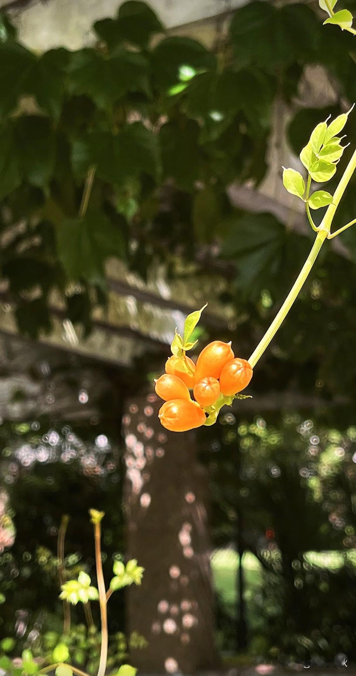 生活小美好  定格每瞬间