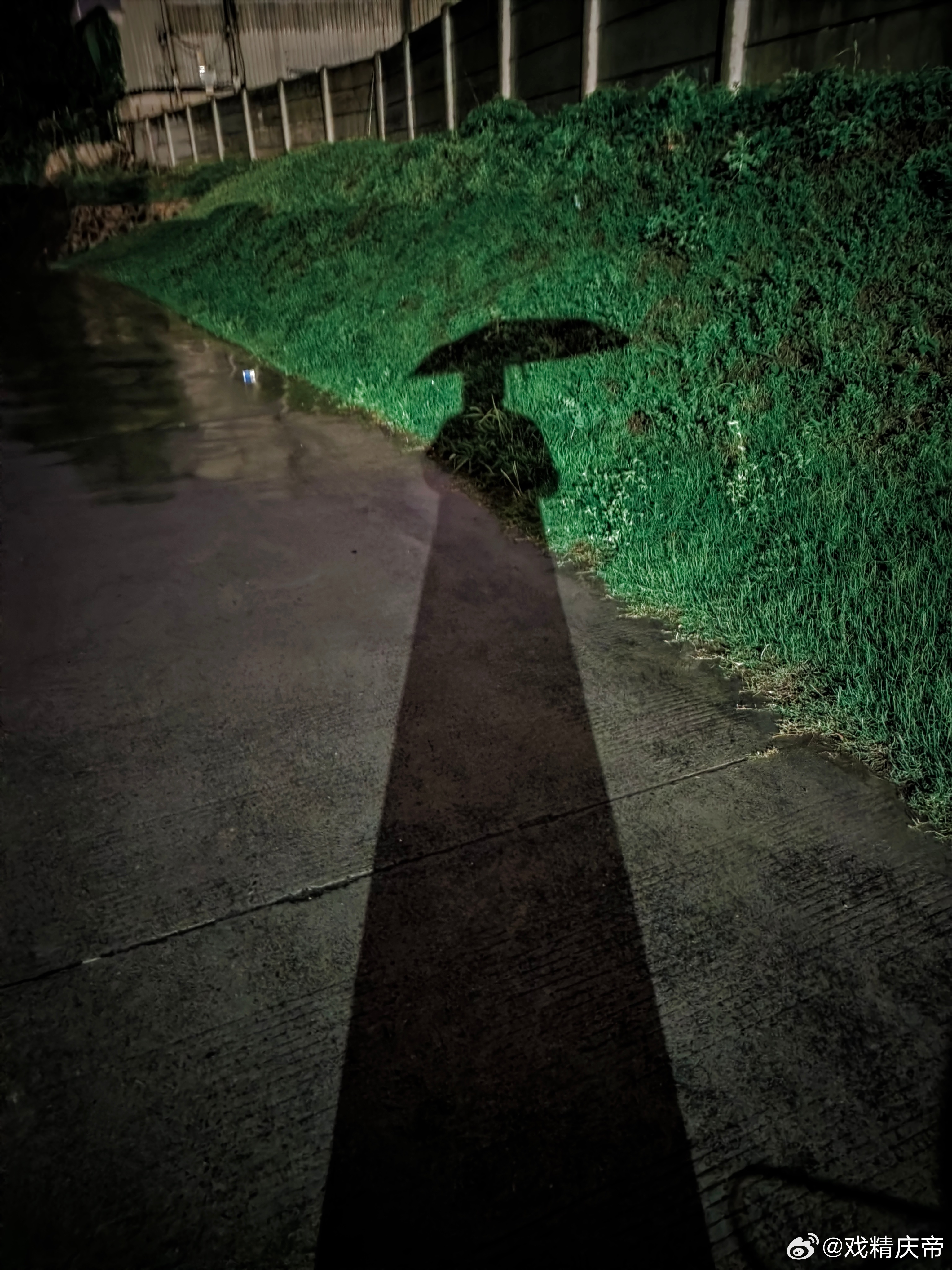 夜半突来一场大暴雨，令我异常兴奋，整装待发：看看能不能拍点好看照片