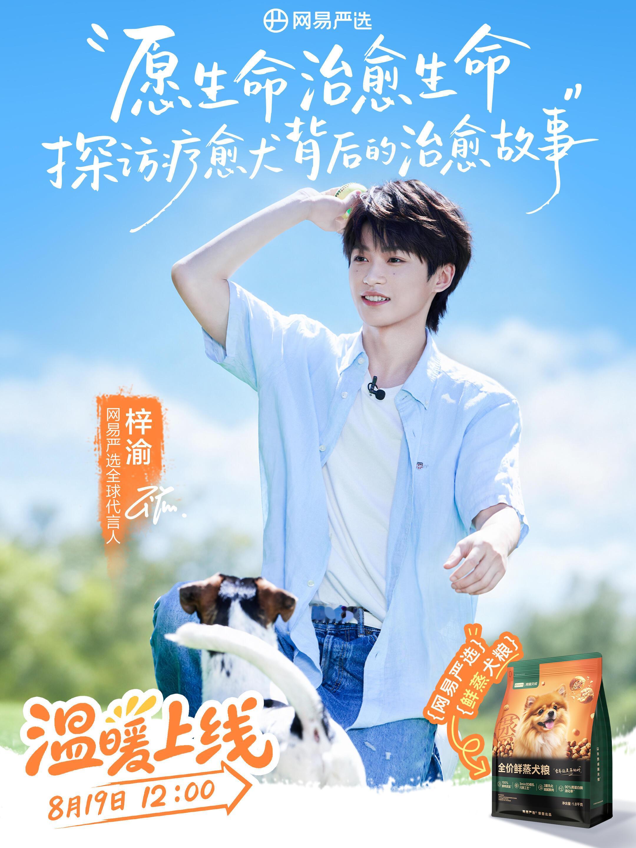 是公益诶 