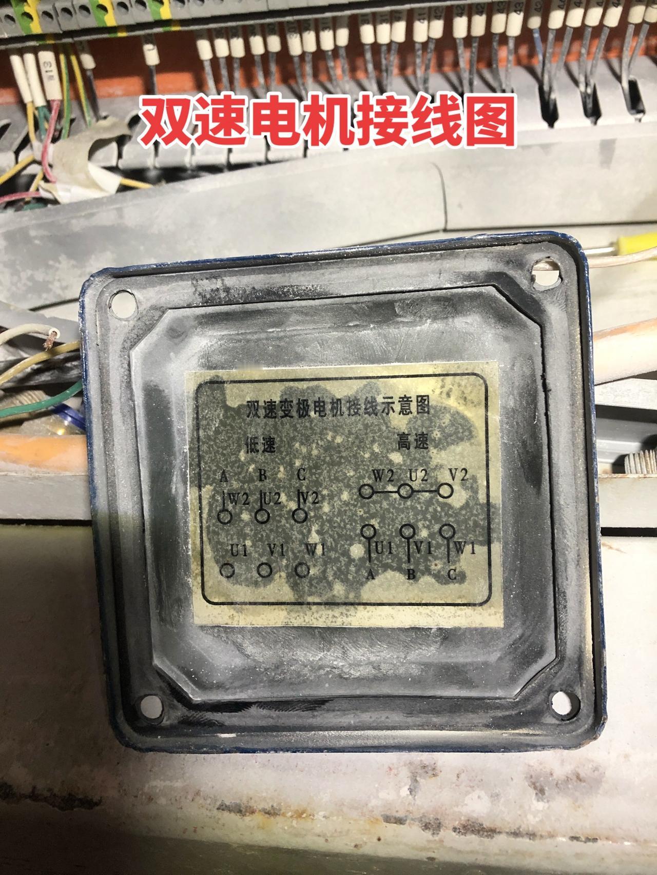 电工 双速电机 零基础学电工