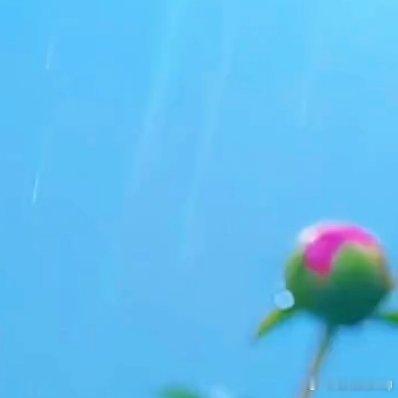 花儿开好开坏，只能开一次。人这一朵花，一生却可以开放许多次 