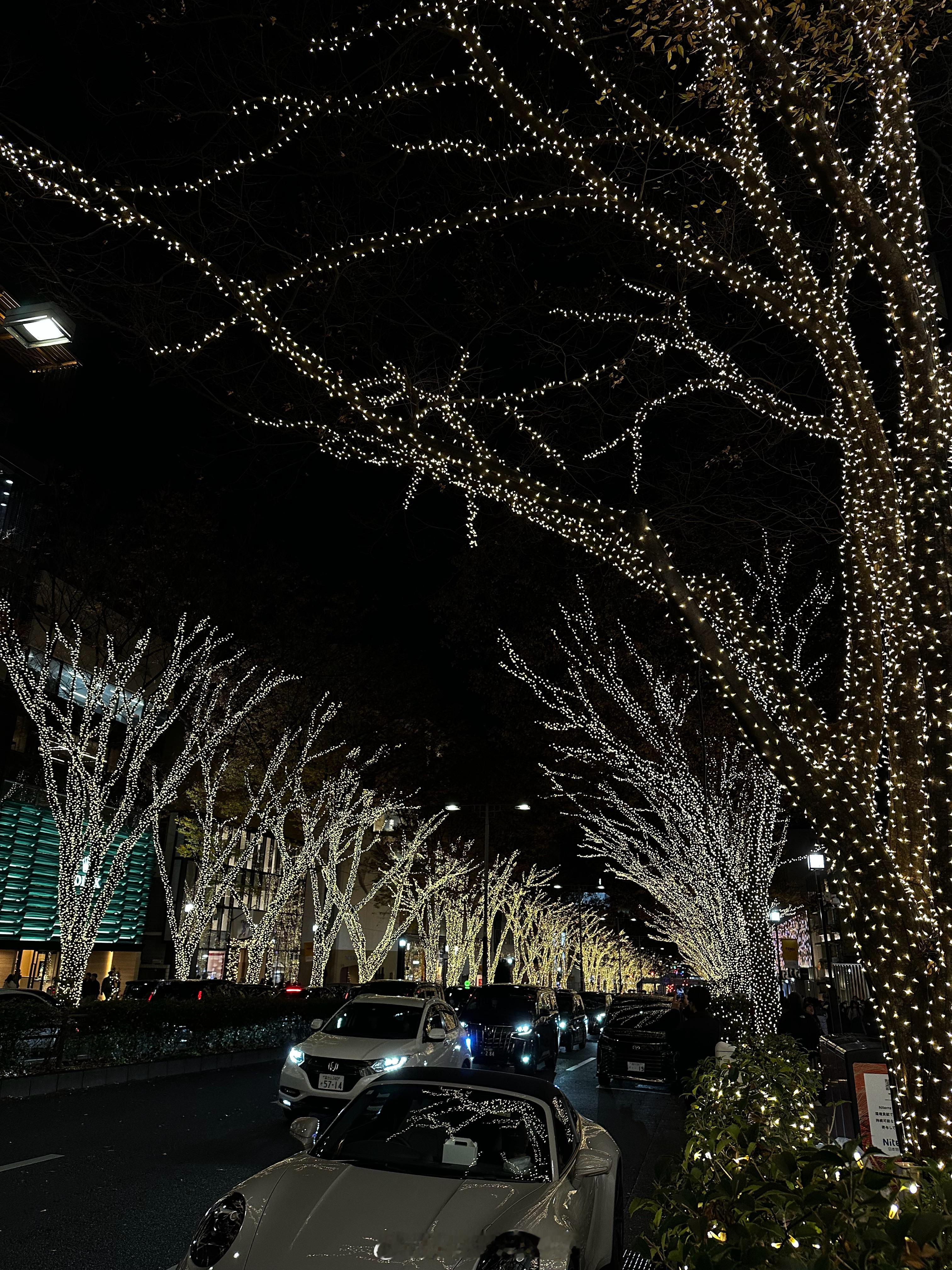 又一年来过圣诞🎄.  