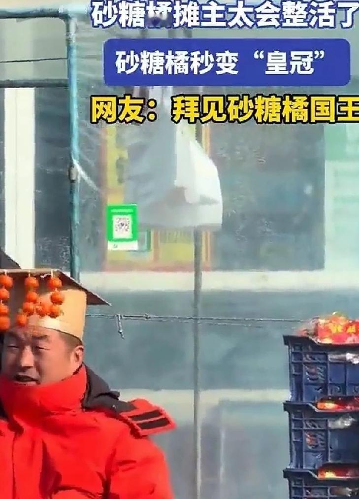 春节将至，人们忙于采购年货。砂糖橘以色泽金黄，味甜甘美，食用方便，对解腻大鱼大肉