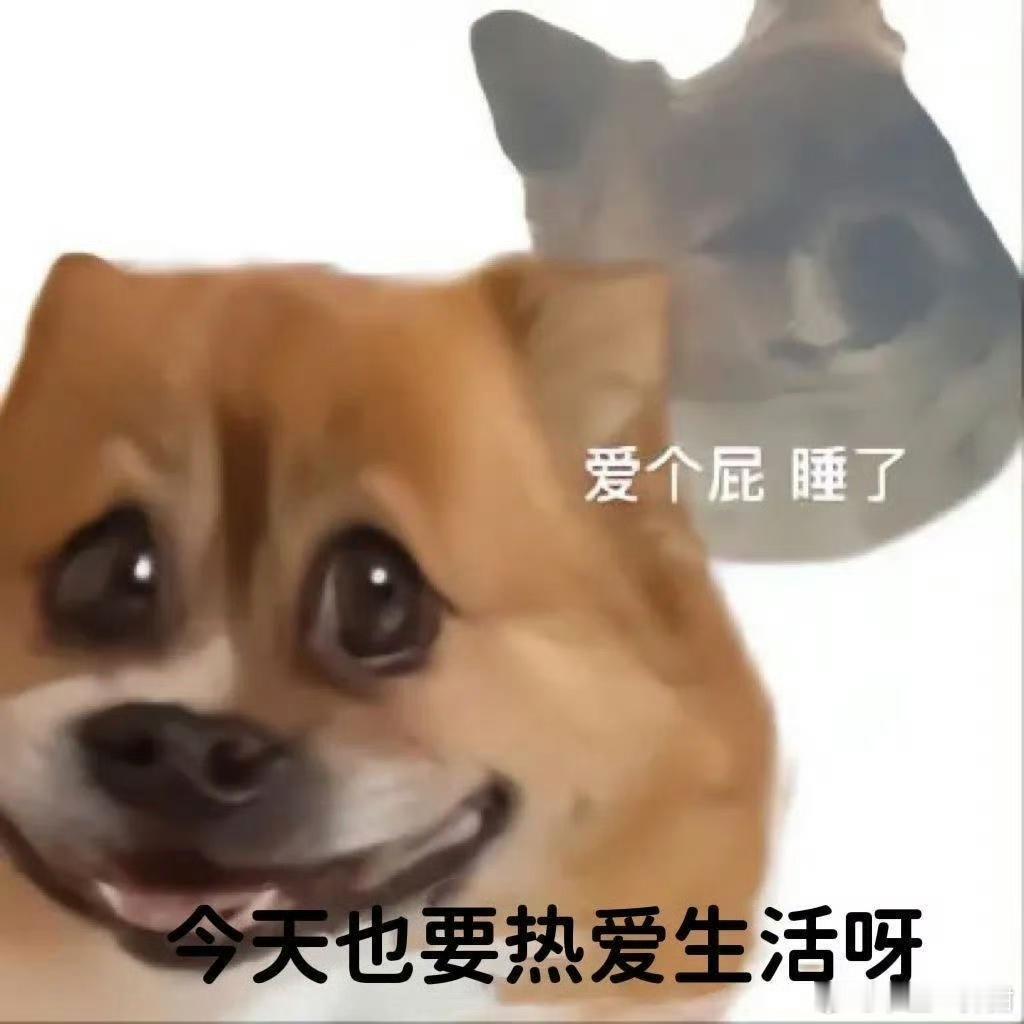 留条博姐妹们有需要的找文盖楼唠嗑（言情） ​ ​​​