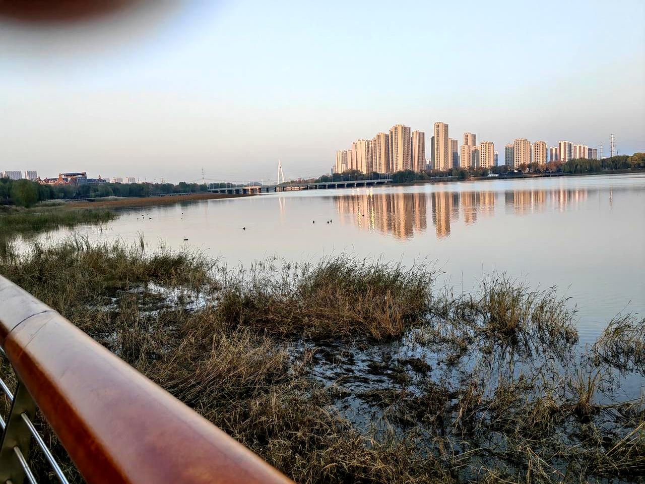 看过素老三老师的减肥记，我不再焦虑了，我焦虑不是因为“胖”，
 

自从过来帮着