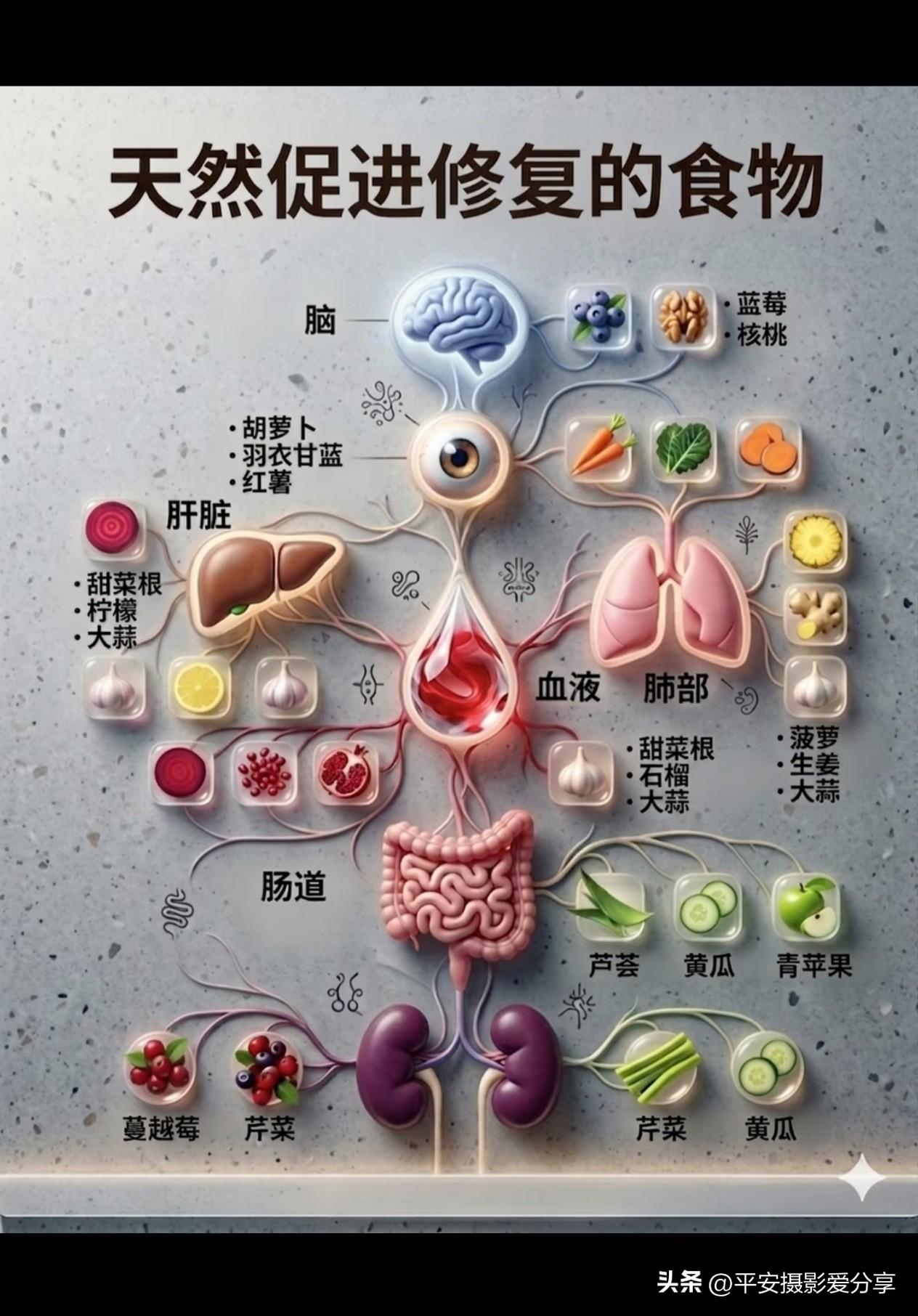 滋补或有益五脏六腑的食物搭配！